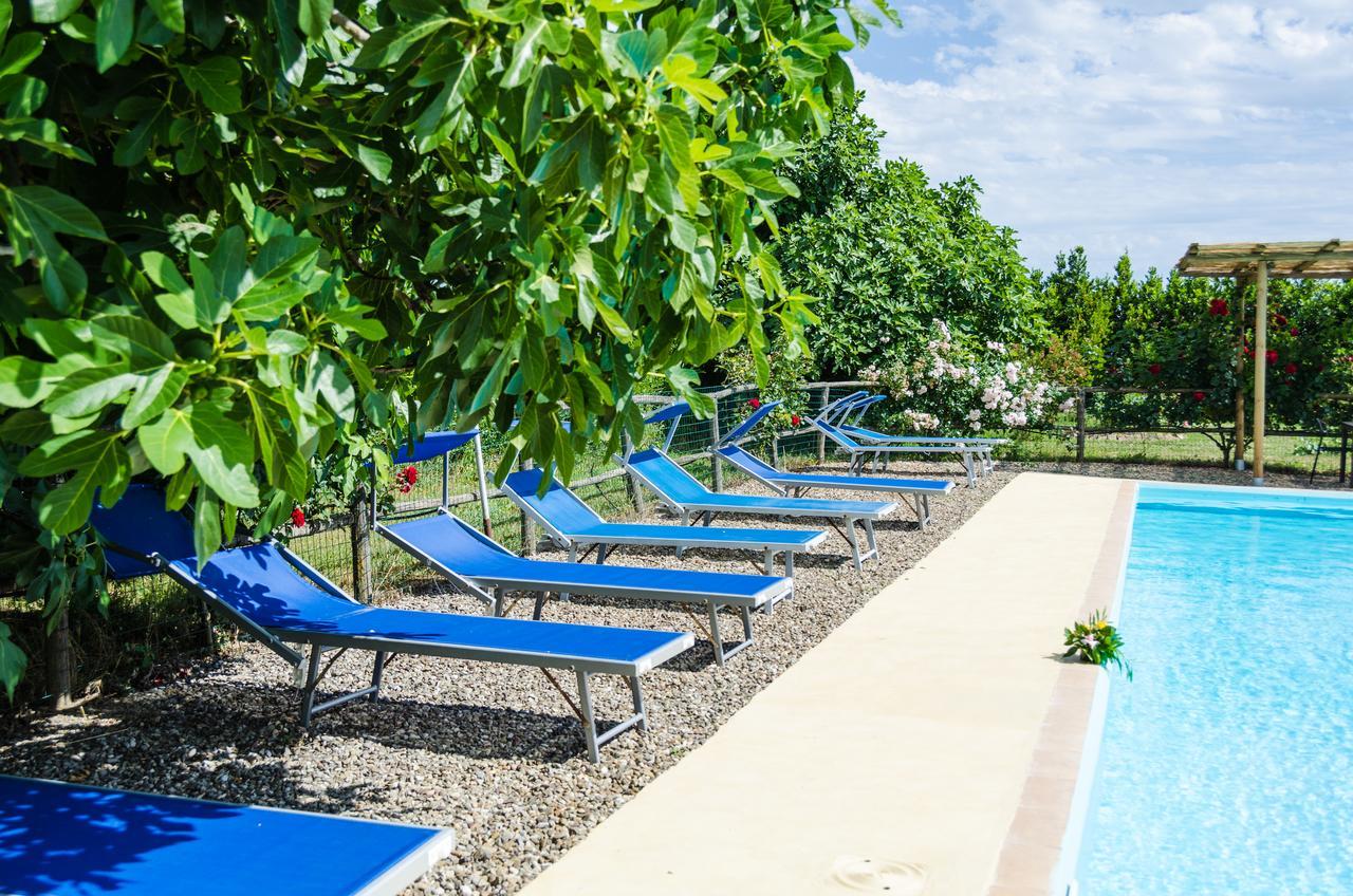 Agriturismo Il Roseto Марина-ді-Гроссето Екстер'єр фото
