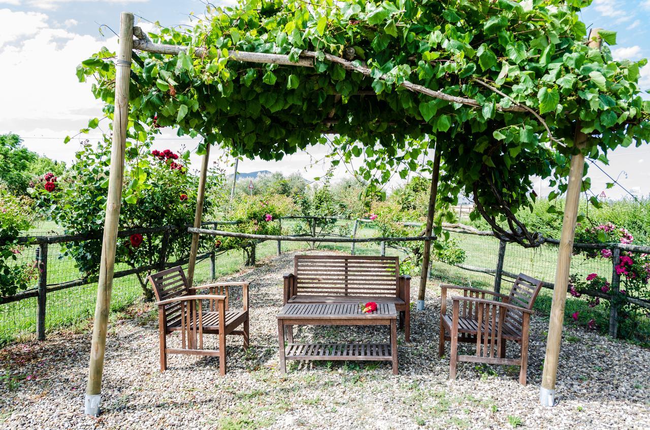 Agriturismo Il Roseto Марина-ді-Гроссето Екстер'єр фото